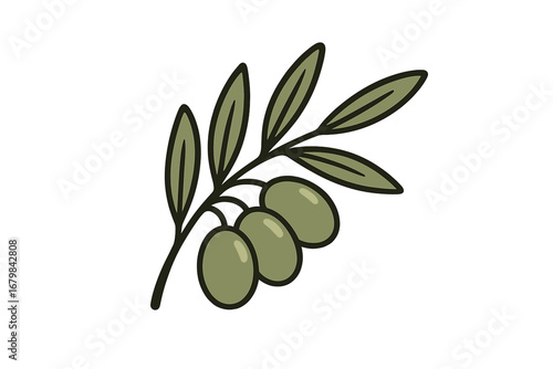 Olive branch vector illustration. Simple icon with green olives and leaves for logo design. Natural, organic, healthy food concept. Symbol of peace, greek and italian cuisine.