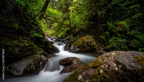 Lush Green Forest Stream with Smooth Water Flow Over Mossy Rocks.