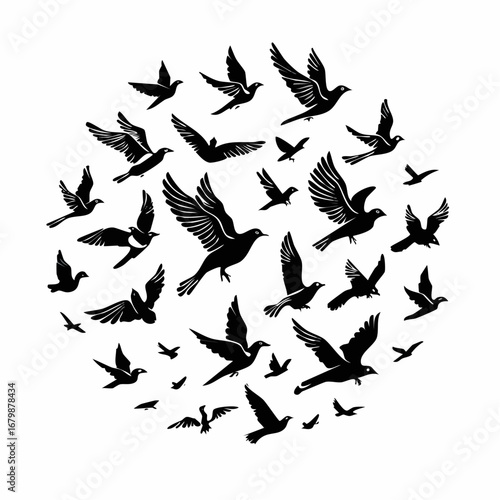 silhouette of flying birds