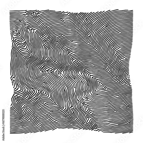Abstract fingerprint art print black and white line drawing modern minimalist wall decor digital download artwork for home