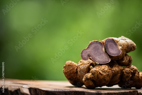Bild auf Leinwand Black galingale or Kaempferia parviflora rhizomes on natural background