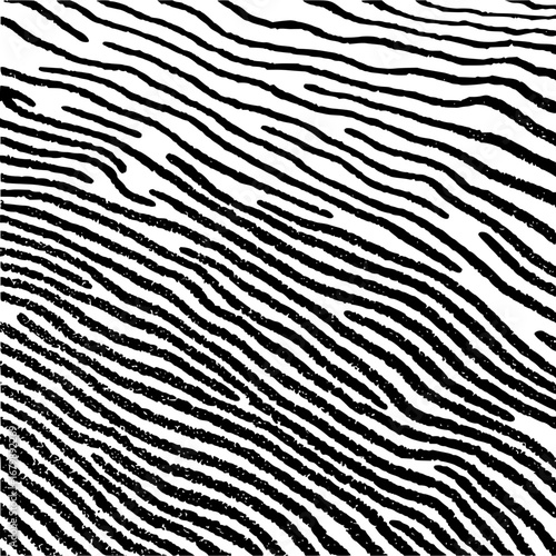 Black lines pattern abstract background vector illustration fingerprint design concept art graphic resource image