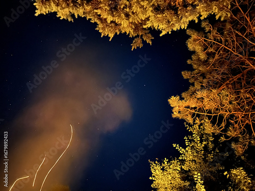 Night sky view framed by lush trees, showcasing a blend of stars and wispy clouds illuminated by warm light, creating a serene and tranquil atmosphere in nature