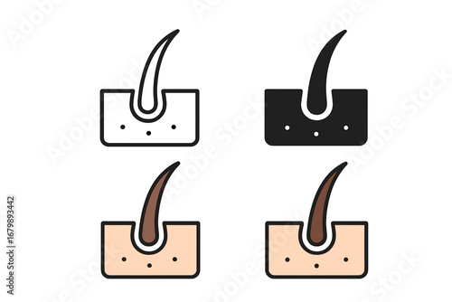 Hair follicle vector icon collection. Symbol for healthy hair, growth cycle, dermatology, and skin care. Medical illustration for transplant clinic, beauty salon, or shampoo product.