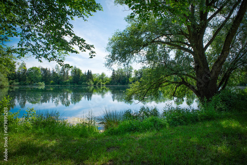 Summer peaceful atmosphere at lake with clouds and the forest in the background