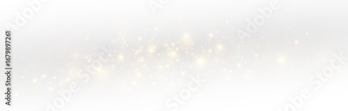 Glowing stardust and shimmering particles, a magical festive sparkle with vibrant golden light.
Radiant flares and glittering sparks, a luxurious holiday atmosphere full of magic and shine.