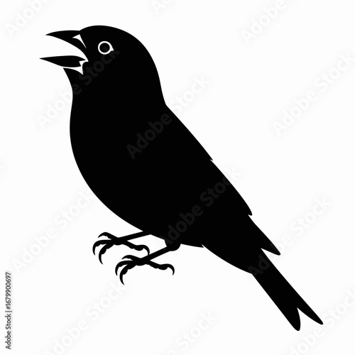 Silhouette of a black bird singing with open beak on white background