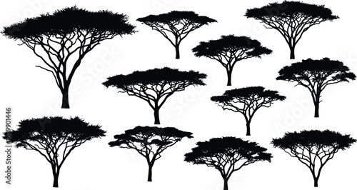Acacia tree silhouettes, African flat‑top trees, black vector illustration, unique branching patterns, savanna landscape elements, natural shape study, botanical silhouette art