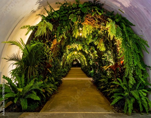 Lush tunnel walkway lined with greenery