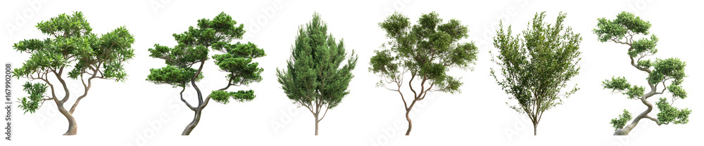 Fototapeta premium PNG Diverse realistic green tree collection, element set on transparent background