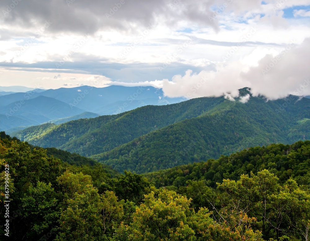 Fototapeta premium Mountain vista with lush greenery
