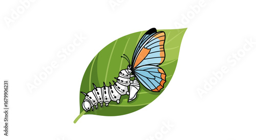 Caterpillar Metamorphosis into Butterfly on Leaf.