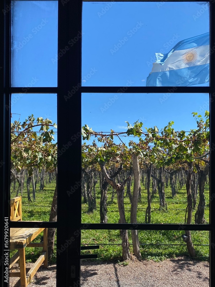 Fototapeta premium Grapevine rows at a vineyard estate in Mendoza, Argentina. Wine industry, agriculture background.