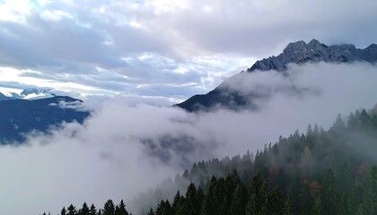 Tableau sur plexiglas  Mystical mountainside covered in swirling cloudscape and lush forest  © Kami