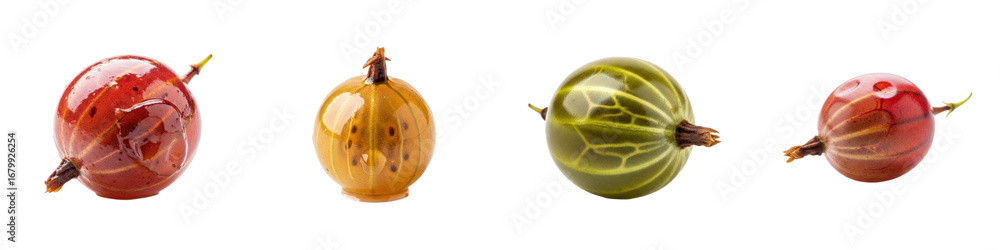 Naklejka premium Gooseberries in vibrant shades of red, green, and yellow. Fresh, ripe, fruit, food, healthy eating, nature, juicy, organic, berry, sweet.