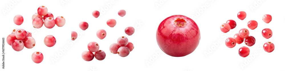 Fototapeta premium Cranberries shown as small clusters and single berry. Fresh fruit, seasonal harvest, autumn berry, antioxidant, vibrant, healthy eating.