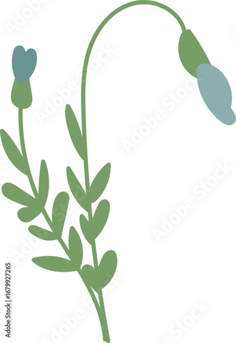 Simple Botanical Flower