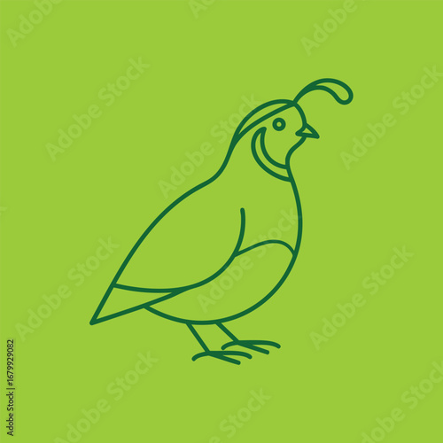 Stylized illustration of a quail bird on a vibrant green background, showcasing its unique features and charm