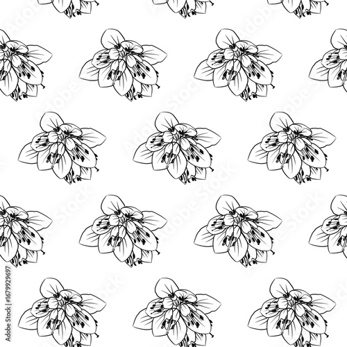 Winter Heath or Erica carnea flower Seamless Pattern Hand drawn vector line art, Black and White Flower isolated in white. Beautiful design for textile, wallpaper, wrapping paper