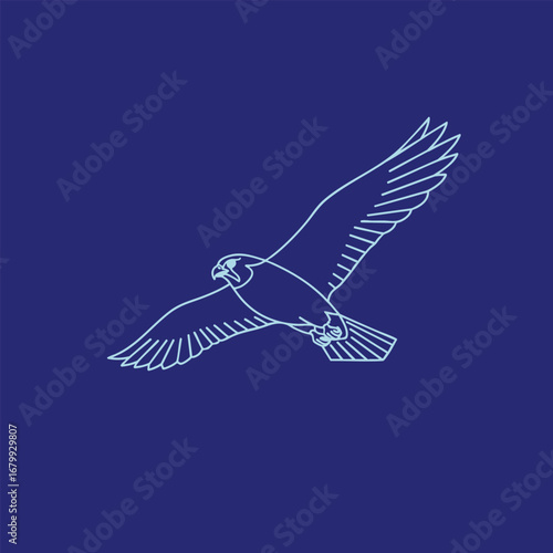 A stylized illustration of a soaring bird of prey against a deep blue background, representing freedom and nature's beauty