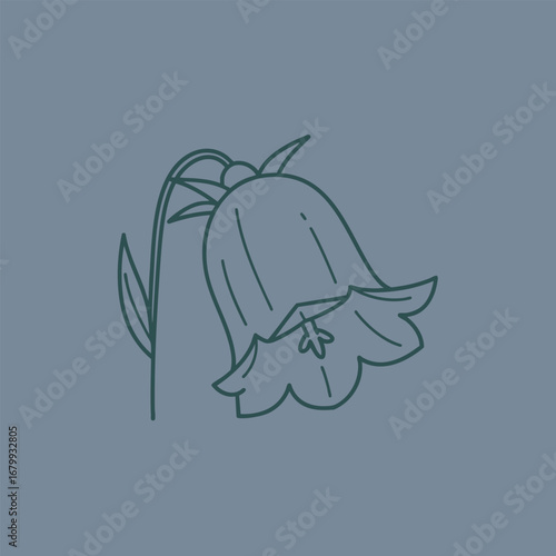 Elegant illustration of a bellflower with a slender stem and leaves against a soft blue background