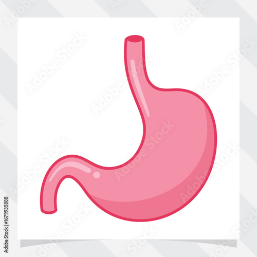 stomach organ icon. vector illustration.
