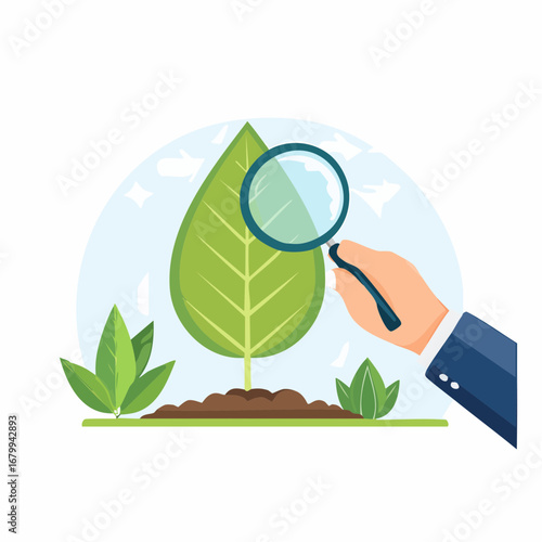 Hand Examining Green Leaf With Magnifying Glass