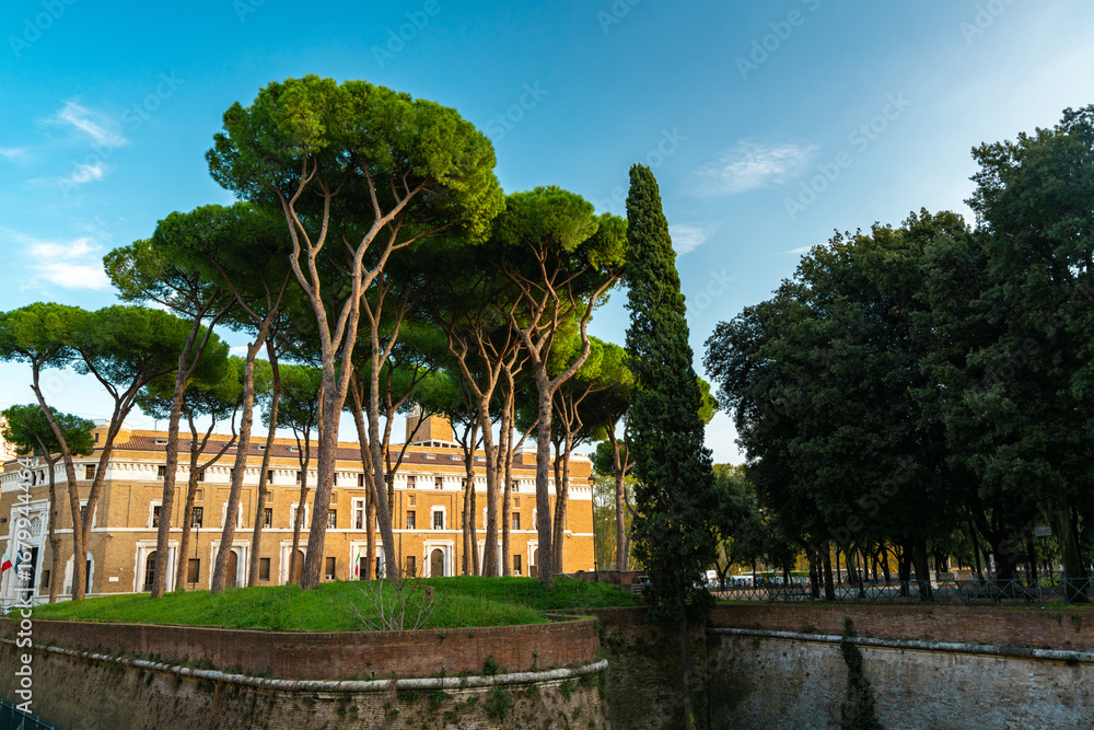 Fototapeta premium Vatican Gardens: Majestic Trees and Historic Architecture