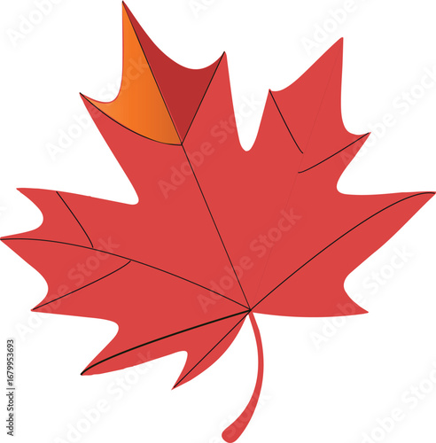 Vibrant collection of colorful autumn leaves in a natural forest setting perfect for seasonal decorations and designs