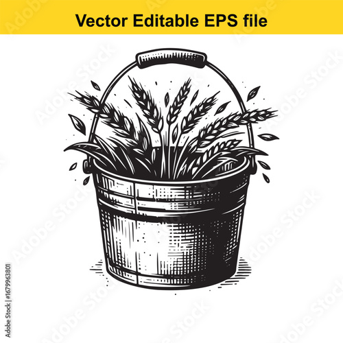 Bucket filled with wheat ears and grass, isolated on white background