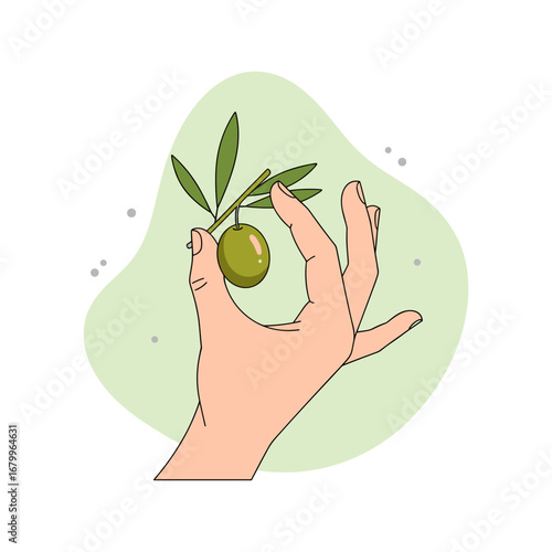 Illustration of a hand holding a single green olive on a twig with leaves. Concept of nature, harvest, and healthy food.