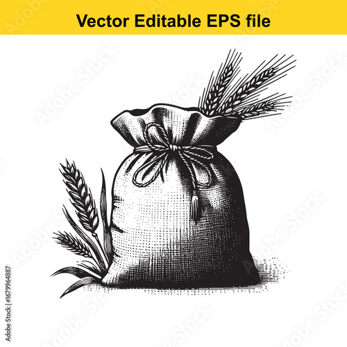 Sack of wheat isolated on white background, with wheat ears