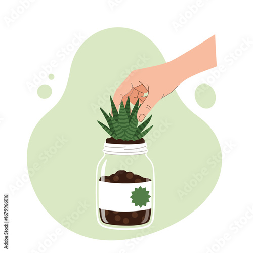 Hand planting a small succulent plant in a recycled glass jar. Vector illustration of indoor gardening and DIY hobby.