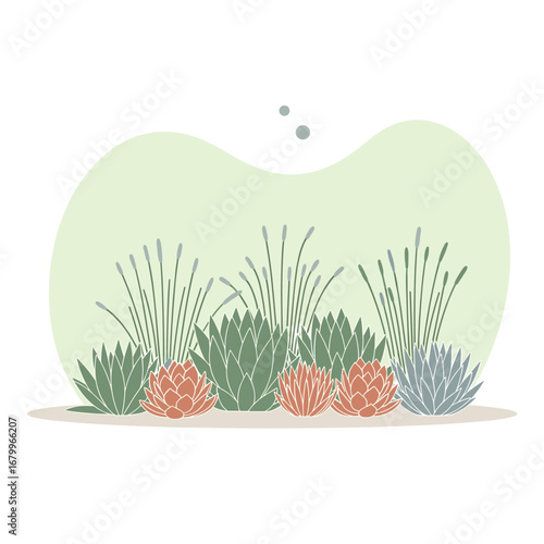 A beautiful arrangement of succulent plants and tall grasses. Minimalist botanical illustration with a soft color palette.