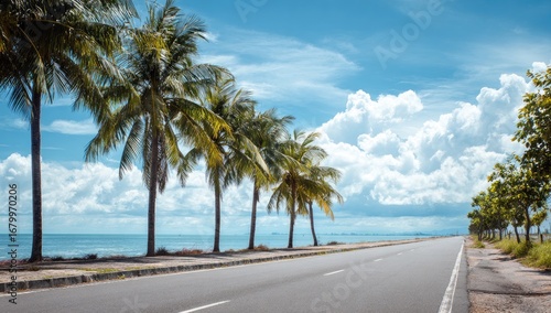 Scenic coastal highway lined with palm trees under a bright sky