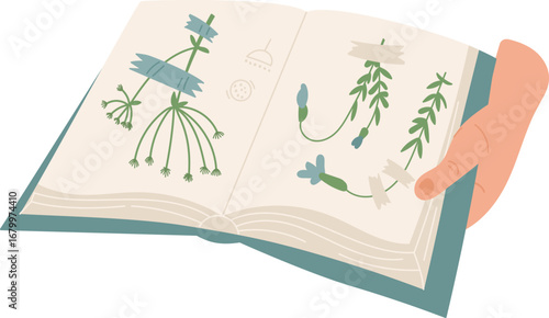 Herbarium Book with Pressed Plants