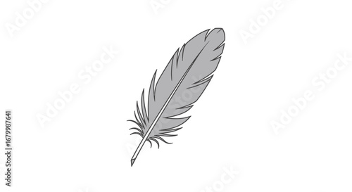 Detailed illustration of a single gray feather on a white background.