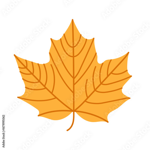 Simple illustration of a maple leaf in orange color. Isolated on a white background. Symbolizing autumn, nature and seasonal foliage design. Flat vector. Hand drawn.