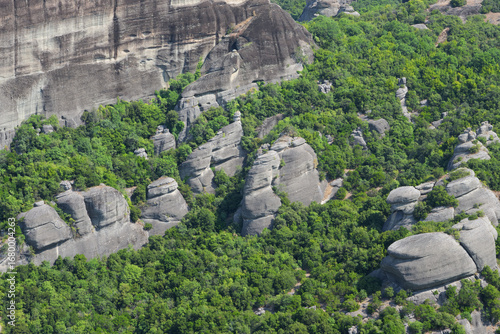 Trees growing on cliffs