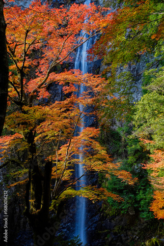 三重県大台町六十尋滝