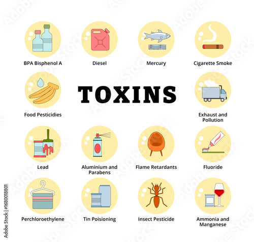 Different types of toxin types, BPA, Cigarette Smoke, Diesel, Exhaust and Pollution, Flame Retardant, Fluoride, Food Pesticides Chemical, Insect Pesticide, Lead, Mercury, Perc Perchloroethylene, Tin