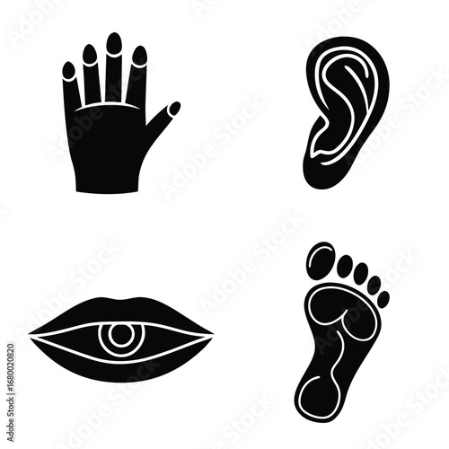 Illustration of human body parts including a hand, ear, eye, and foot in black silhouette style