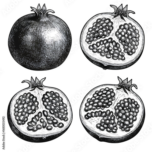Vintage black and white handdrawn pomegranate illustrations showing a whole fruit and crosssections with seeds.