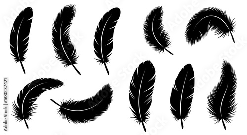 Collection of ten black bird feathers, vector PNG illustrations, perfect for design projects needing a touch of elegance and nature. High-resolution images ideal for printing or digital use, offering