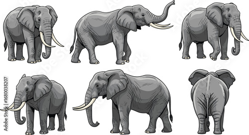 Elephant illustration, animal sketch, wildlife drawing, elephant anatomy, blue outline, artistic pose, side view, front view, rear view, textured skin