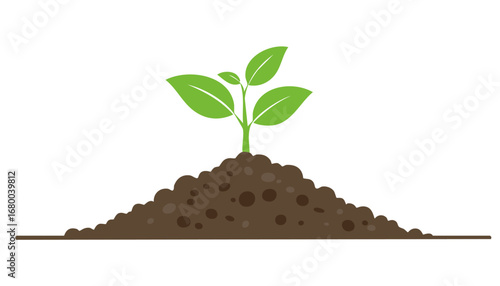 Green sprout with two leaves growing in soil, illustrating ecology, nature, and the cycle of life