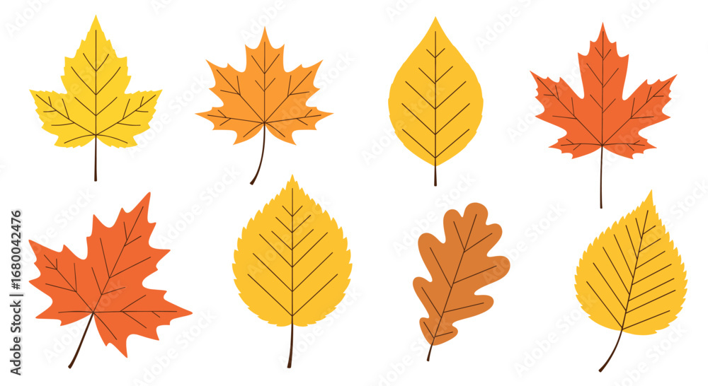 Obraz premium A Collection of Vibrant Autumn Leaves Showcasing the Beautiful Colors of Fall Season Including Maple Oak and Birch Varieties