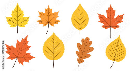 A Collection of Vibrant Autumn Leaves Showcasing the Beautiful Colors of Fall Season Including Maple Oak and Birch Varieties