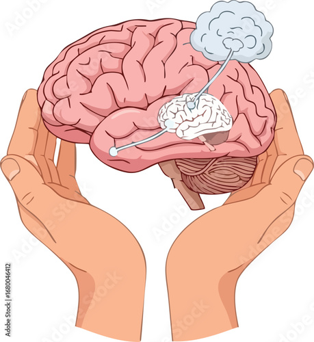 Human Brain Held in Hands.