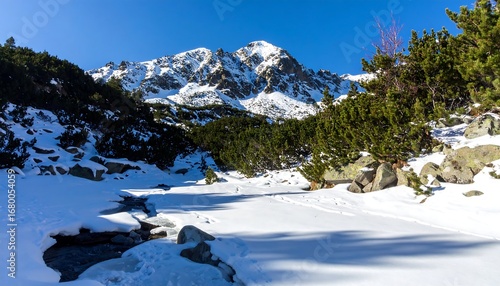 Winter landscape of snowy mountain peak under clear blue sky in High Tatras